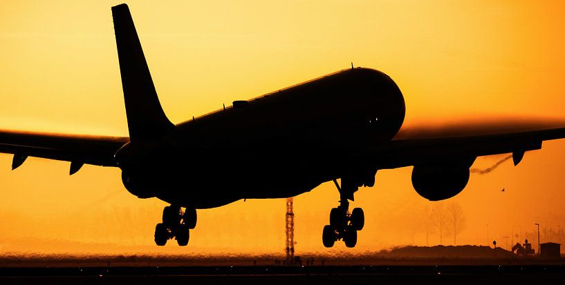 Delta Airbus A330-300 during sunset by Stefano Scoop