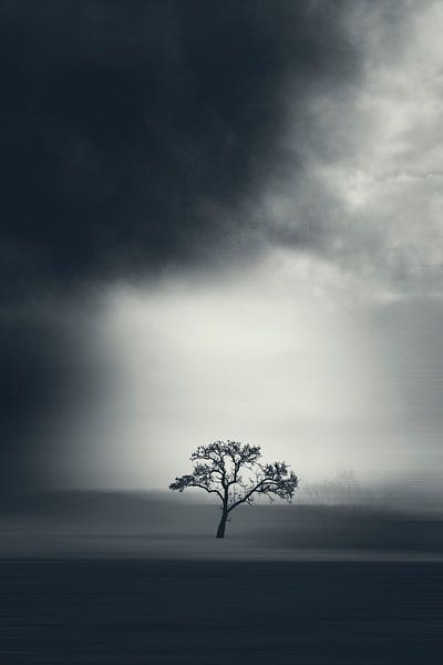 Alter Apfelbaum auf Feld - Abstrakte Schwarz-weiss Fotografie von Dirk Wüstenhagen