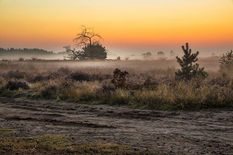 Strabrechtse Heide par Rob Boon