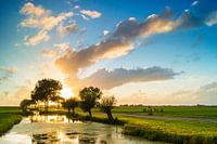 Alblasserwaardse polder