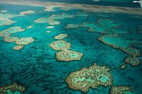 Great Barrier Reef aus einem Flugzeug