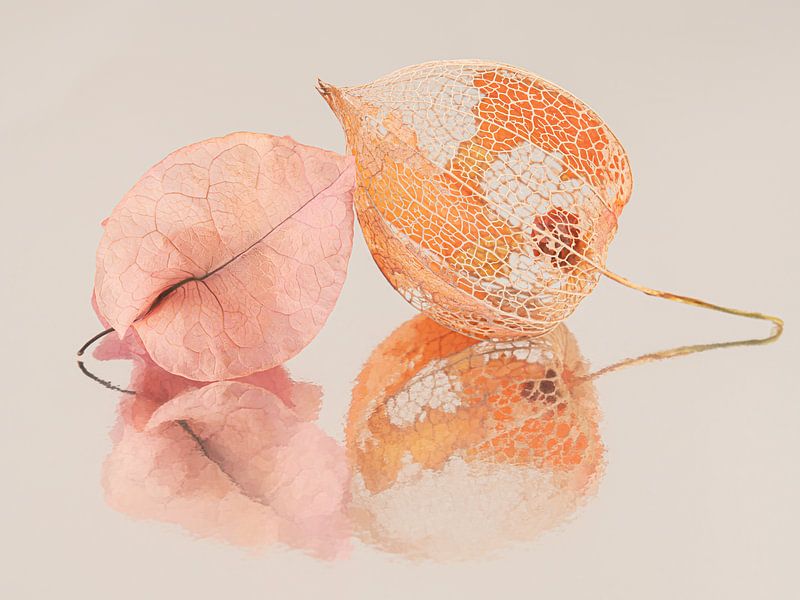 Zusammen: So unterschiedlich, aber gut passend von Marjolijn van den Berg