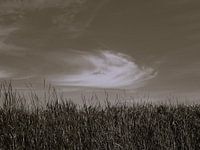 Noir et blanc avec une touche de chaleur