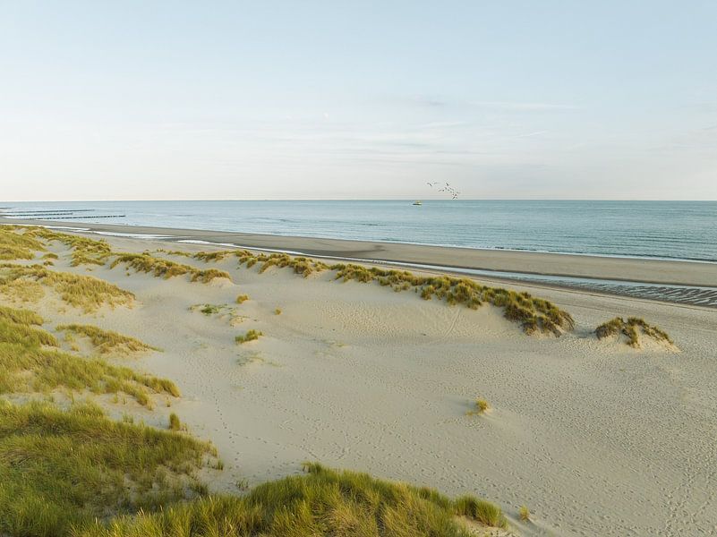 Réserve naturelle Oranjezon 5 par Andy Troy