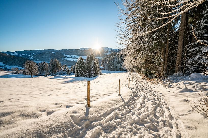 Winterlicher Blick auf den Hochgrat zum Morgen von Leo Schindzielorz