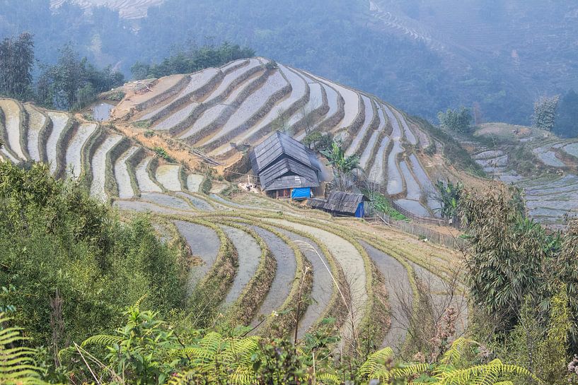 Sa Pa terraces by Anne Zwagers