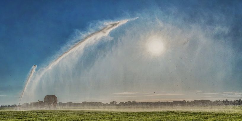 Bewässerung eines landwirtschaftlichen Feldes in Gaasterland von Harrie Muis