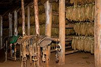 Tobacco barn in Vinales, Cuba