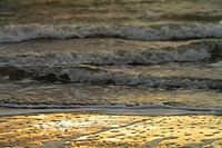 Studie: De Kaloot, Borssele - Zeeland