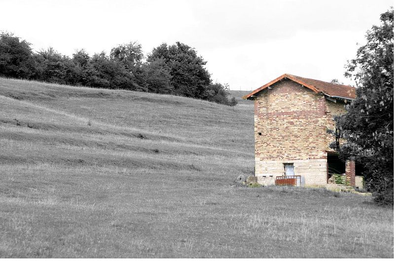  Barn in Black / White by EnWout