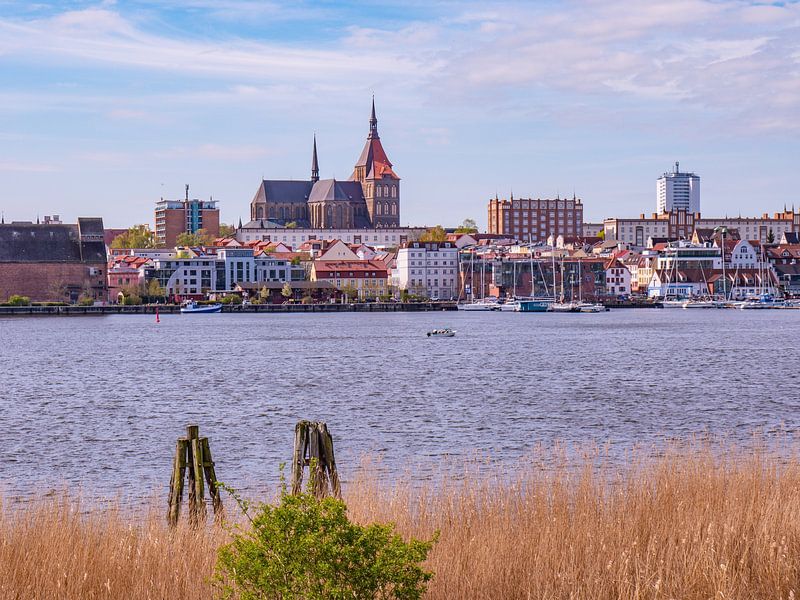 View of the old town of Rostock by Animaflora PicsStock