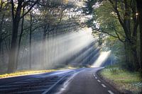 Licht am Ende des Weges