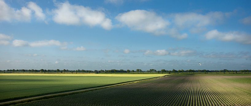 Vast fields in the early morning (panorama) by Bo Scheeringa Photography