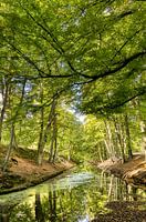 Herinneringen op landgoed Clingendael