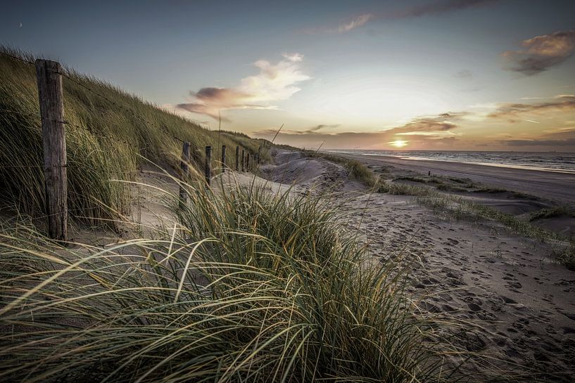 Dunes, beach and sea on the Dutch coast by Dirk van Egmond