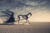 Le silence avant la dernière chevauchée | Coach of Sand and Bone