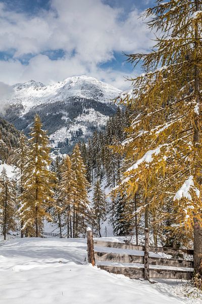 Snow-covered path from Kalkstein into the Rosstal valley in the rear Villgratental valley by Christian Müringer