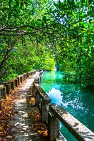 Die magische Straße