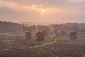  mystical moorland in orange morning light by Francois Debets