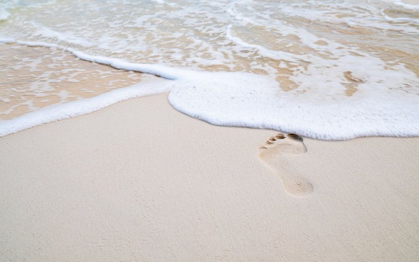 Ein Schritt auf dem Sand von Vincent L.