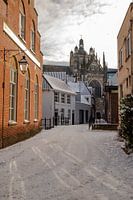 Den Bosch Saint John im Schnee