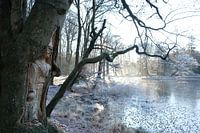 Magische Winterlandschaft Winter in Beetsterzwaag Friesland Fryslân Niederlandeund