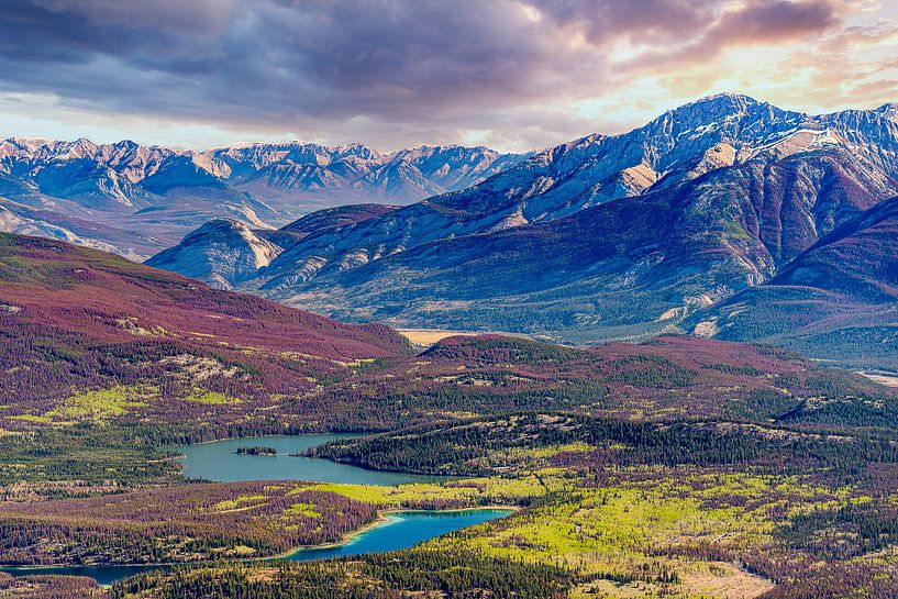Jasper National Park aus großer Höhe, Kanada von Rietje Bulthuis