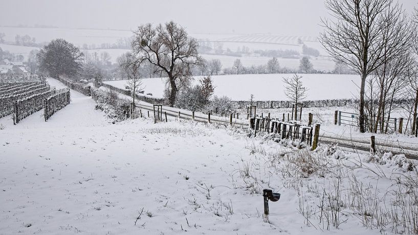 Winters Eys von Rob Boon