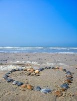 Heart made of shells on the beach by the sea