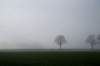 Paysage hollandais dans le brouillard