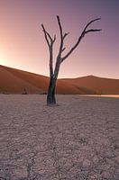 Deadvlei