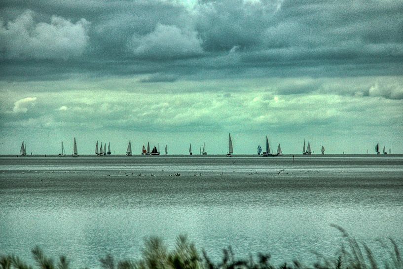 Der Wind als Wegweiser von Patrick Teeling