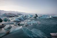 Schwimmende Eisschollen in Island
