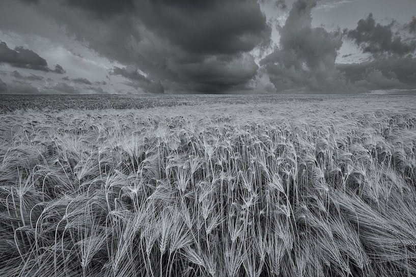 Un paysage grandiose avec de beaux nuages au-dessus des champs de céréales dans le Hogeland de Groni par Bas Meelker