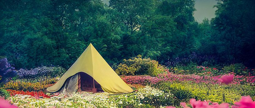Tent in a garden with flowers illustration by Animaflora PicsStock