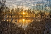 The House of the Painter