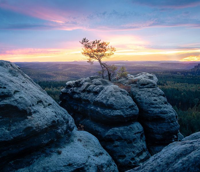 Sonnenuntergang in der Sächsischen Schweiz von Nils Steiner