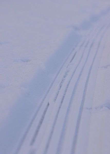 Lignes dans la neige par Daniëlle Eibrink Jansen