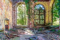 Fabrikfenster mit Efeu