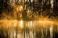 L'éveil de la Sorgue 2