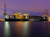 Ever Govern (Evergreen)