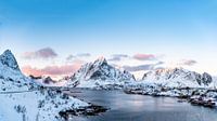 Reine // Lofoten