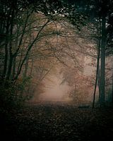 Mysteriöser nebliger Morgen