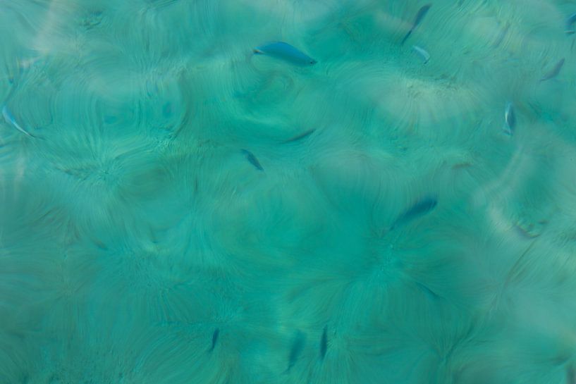 Fische im Meer von Marika Huisman fotografie