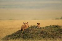 One day it will be yours