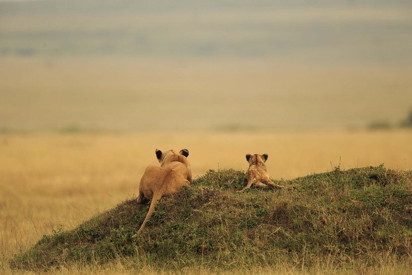 One day it will be yours by Massimo Mei