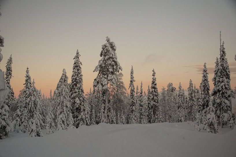 Landschap lapland by Marleen van Es