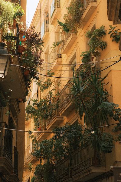 Mediterrane Balkone: Urban Jungle in Barcelona von NZME Photography