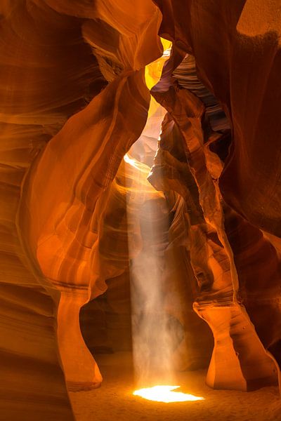 Licht in de duisternis van Peter Leenen