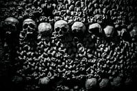 Skull of the Catacombs of Paris